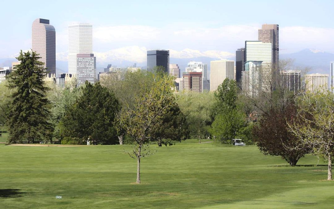 metalldetektor-metallsoker-by-park-procollector-no